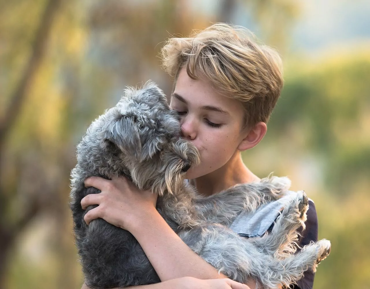 boy, dog, friendship