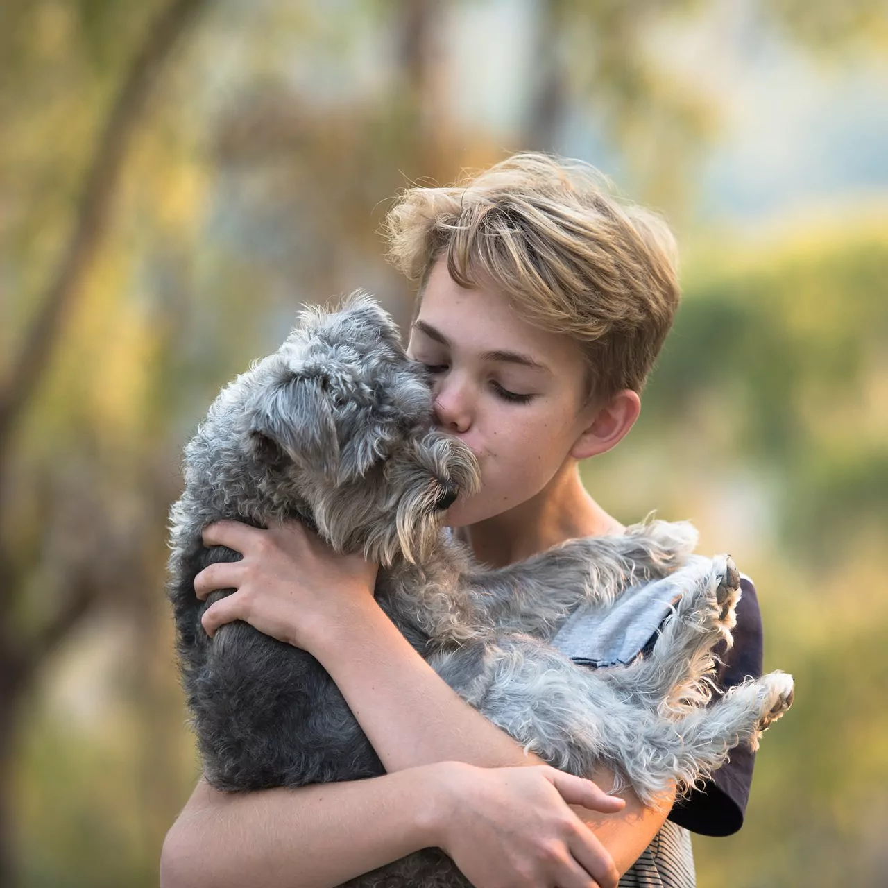 boy, dog, friendship