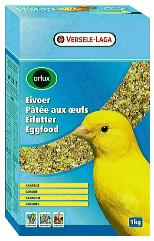 45119.jpg