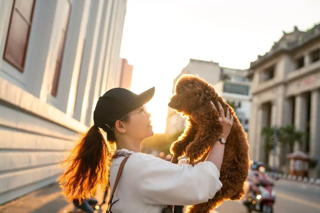 woman, dog, pet